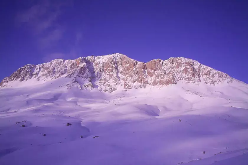 کوهنوردی در ایران در بینالود