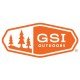 gsi logo