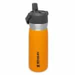 قمقمه 650 میلی لیتری مدل Stanley - Go Flip Straw Water Bottle