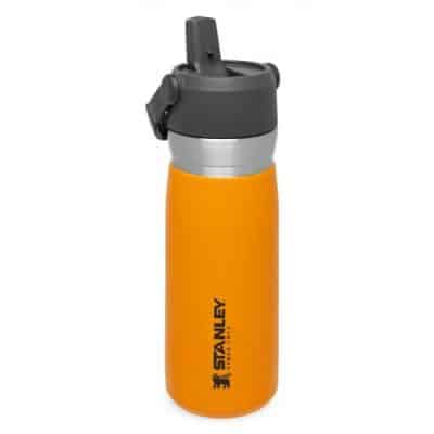 قمقمه 650 میلی لیتری مدل Stanley - Go Flip Straw Water Bottle