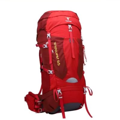 کوله‌پشتی پکینیو مدل وایلدگست 65