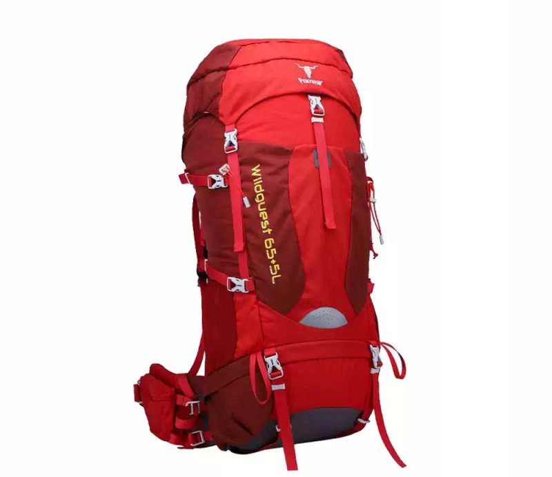 کوله‌پشتی پکینیو مدل وایلدگست 5+65