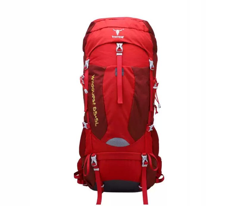 کوله‌پشتی پکینیو مدل وایلدگست 5+65