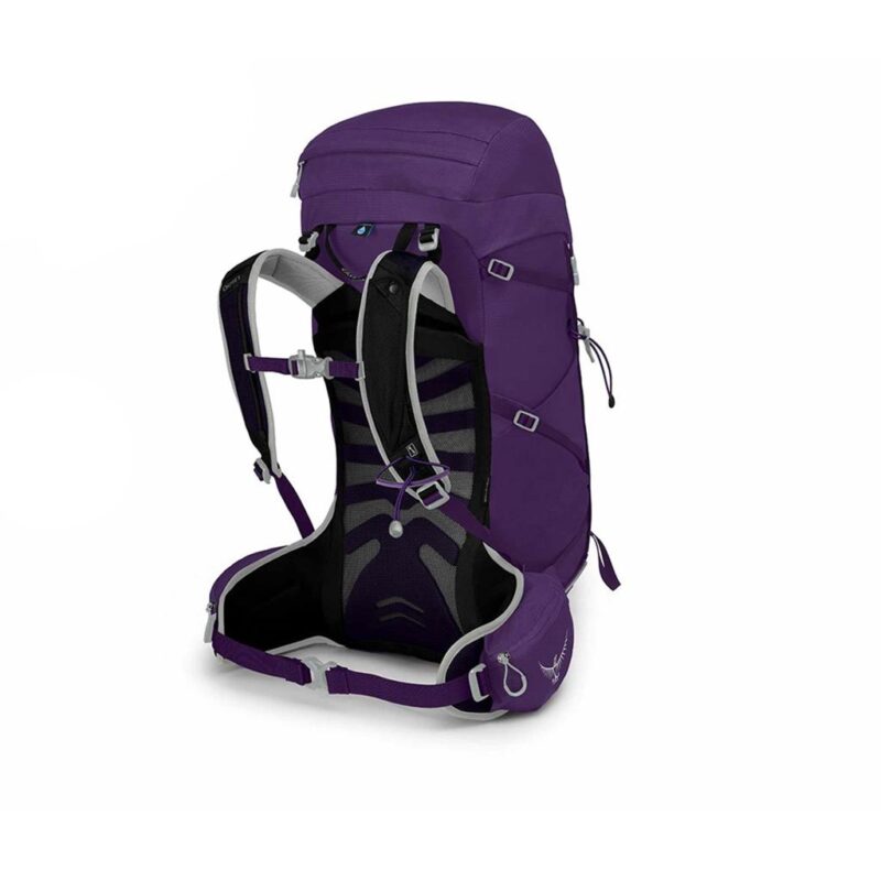 کوله کوهنوردی 30 لیتر آسپری مدل Tempest بنفش